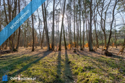 Działka przy lesie nad Zalewem Szczecińskim z warunkami - Nowe Warpno  -
zachodniopomorskie Zdjęcie nr 6