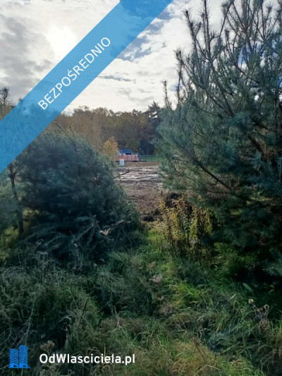 JUSZOWICE gmina Rudna KLIMATYCZNA DZIAŁKA z MPZP - Juszowice  -
dolnośląskie Zdjęcie nr 11