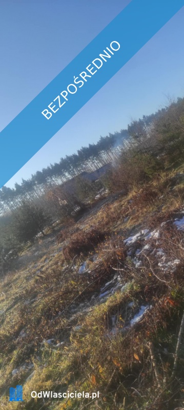 JUSZOWICE gmina Rudna KLIMATYCZNA DZIAŁKA z MPZP - Juszowice  -
dolnośląskie Zdjęcie nr 17