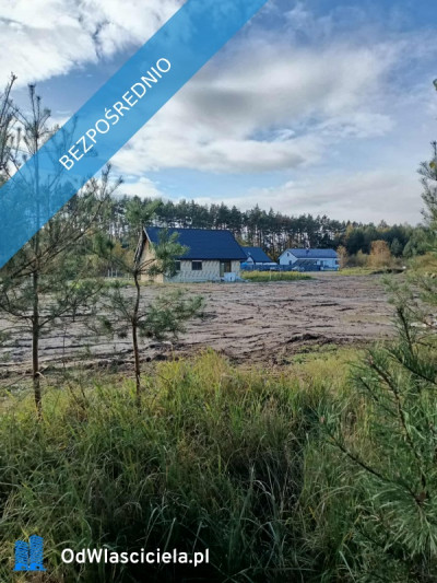 JUSZOWICE gmina Rudna KLIMATYCZNA DZIAŁKA z MPZP - Juszowice  -
dolnośląskie Zdjęcie nr 6