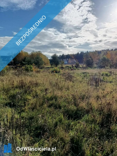 JUSZOWICE gmina Rudna KLIMATYCZNA DZIAŁKA z MPZP - Juszowice  -
dolnośląskie Zdjęcie nr 7