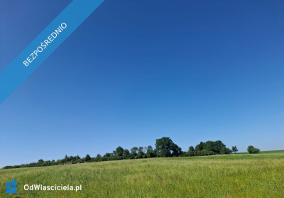 16 ha ziemi Gorzanów   - Gorzanów  - dolnośląskie