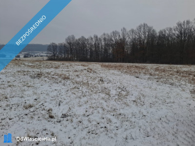 16 ha ziemi Gorzanów   - Gorzanów  -
dolnośląskie Zdjęcie nr 4