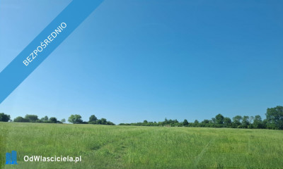 16 ha ziemi Gorzanów   - Gorzanów  -
dolnośląskie Zdjęcie nr 5