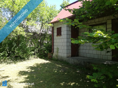 Działka ROD Żeromskiego 300 m - Bocianek  - świętokrzyskie