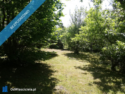 Działka ROD Żeromskiego 300 m - Bocianek  -
świętokrzyskie Zdjęcie nr 3