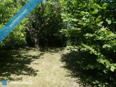 Działka ROD Żeromskiego 300 m - Bocianek  -
świętokrzyskie Zdjęcie nr 4