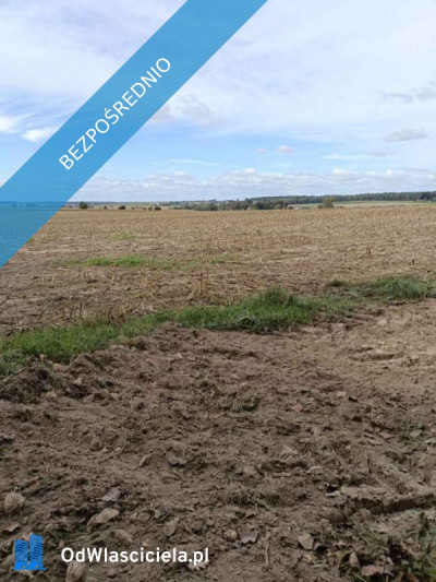 Sprzedam działkę budowlaną w Wierciszowie - Wierciszów  -
lubelskie Zdjęcie nr 4