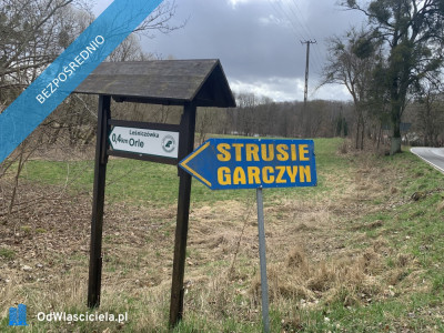 Działka 133 ha z brzegiem Jeziora Dużego Orle pow kościerski i warunkami zabudowy - Liniewo  -
pomorskie Zdjęcie nr 9