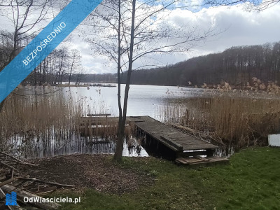 Działka 133 ha z brzegiem Jeziora Dużego Orle pow kościerski i warunkami zabudowy - Liniewo  - pomorskie