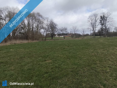 Działka 133 ha z brzegiem Jeziora Dużego Orle pow kościerski i warunkami zabudowy - Liniewo  -
pomorskie Zdjęcie nr 6