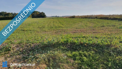 Atrakcyjna tania działka budowlana - Gaj  -
łódzkie Zdjęcie nr 3