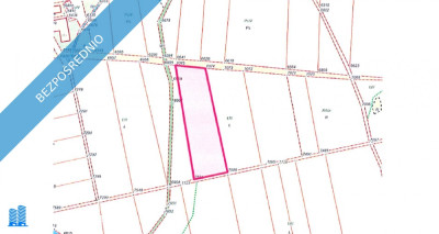 Syndyk sprzeda działki rolne - Strupice  -
dolnośląskie Zdjęcie nr 2