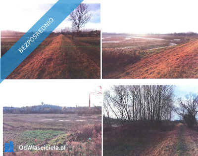 Syndyk sprzeda działki rolne - Strupice  -
dolnośląskie Zdjęcie nr 4