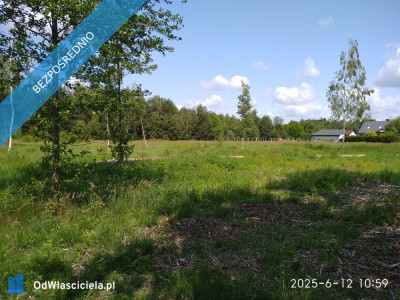 Działka przy parku krajobrazowym - Mrozy  -
mazowieckie Zdjęcie nr 9