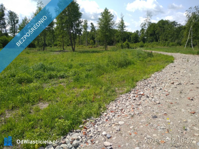 Działka przy parku krajobrazowym - Mrozy  -
mazowieckie Zdjęcie nr 4