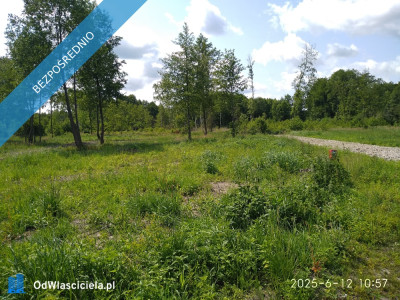 Działka przy parku krajobrazowym - Mrozy  -
mazowieckie Zdjęcie nr 7