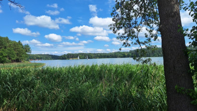 Sprzedam działkę na Mazurach - Wólka  -
warmińsko-mazurskie Zdjęcie nr 7
