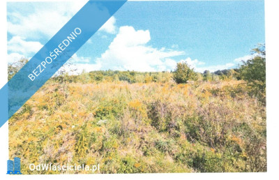 Syndyk sprzeda działki niezabudowane - Trzciniec  - dolnośląskie