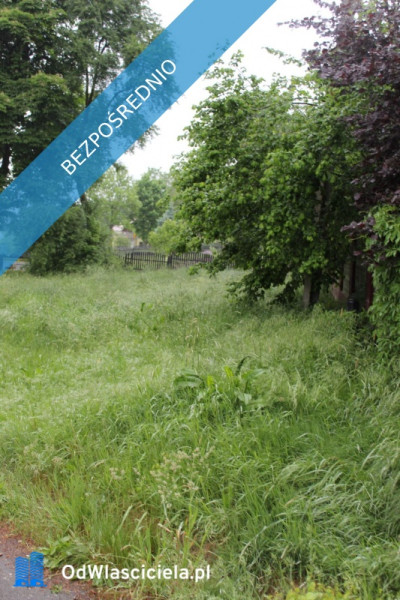 Sprzedam działkę budowlaną z dojazdem asfaltowym - Żeliszów  -
dolnośląskie Zdjęcie nr 2