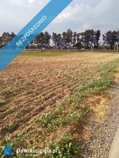 Spokojna działka blisko Lublina 8min Warszawy 15h niedaleko Zalew Zemborzycki - Stasin  - lubelskie