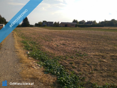 Spokojna działka blisko Lublina 8min Warszawy 15h niedaleko Zalew Zemborzycki - Stasin  -
lubelskie Zdjęcie nr 2