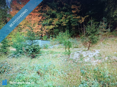 Działka udowlana w zagórniku - Zagórnik  -
małopolskie Zdjęcie nr 9