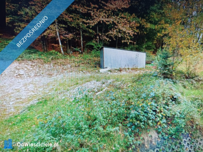 Działka udowlana w zagórniku - Zagórnik  -
małopolskie Zdjęcie nr 3