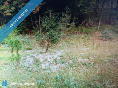 Działka udowlana w zagórniku - Zagórnik  -
małopolskie Zdjęcie nr 6
