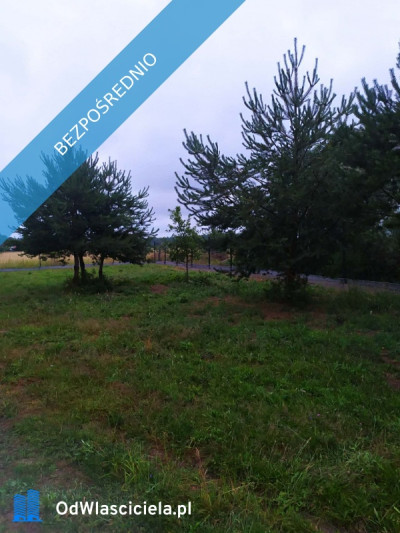 Atrakcyjna działka Sasino - Sasino  -
pomorskie Zdjęcie nr 4