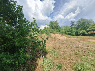 Działka budowlana na sprzedaż Przytok 814 m2 - Przytok  -
lubuskie Zdjęcie nr 9