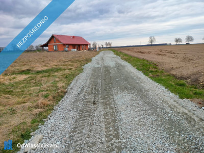 Sprzedam działkę - Jankowice  -
dolnośląskie Zdjęcie nr 4