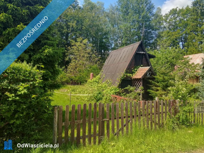 Działka ROD Olszanka gmina Przywidz - Olszanka  - pomorskie