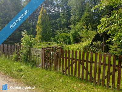 Działka ROD Olszanka gmina Przywidz - Olszanka  -
pomorskie Zdjęcie nr 2