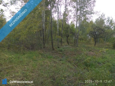 Działka budowlana inwestycyjna 31a malowniczy Beskid Niski - Lipinki  -
małopolskie Zdjęcie nr 3