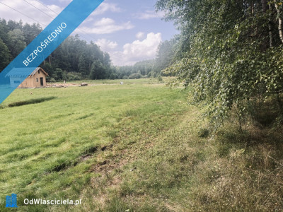 Wyjątkowa działka w Marózku  3100 m przy jeziorze Maróz  - Marózek  -
warmińsko-mazurskie Zdjęcie nr 2