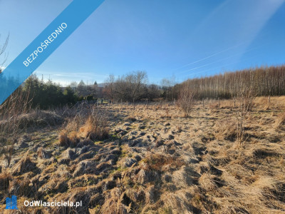 Wyjątkowa działka budowlana  2052 m  Szczawno-Zdrój  Panorama na Górę Chełmiec - Szczawno-Zdrój  -
dolnośląskie Zdjęcie nr 7