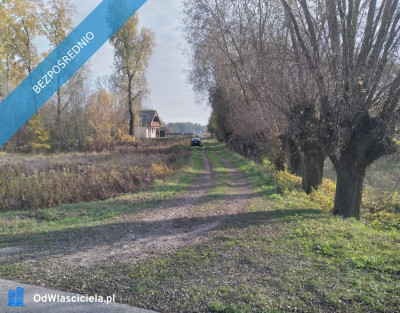 Nad Wisłą - Stare Gniewniewice  -
mazowieckie Zdjęcie nr 2