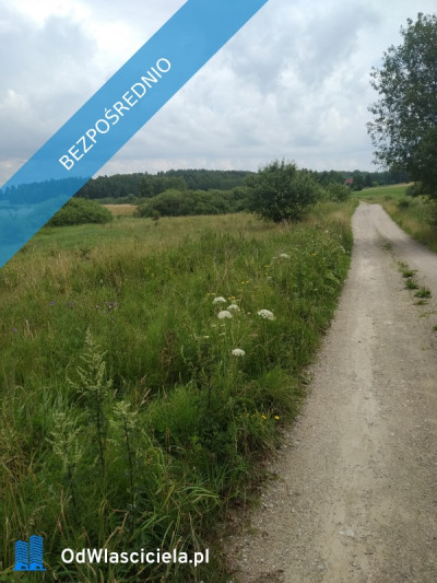 sprzedam   działkę z  bajorkiem  i   na działce rurociąg  wodny - Jesionowo  -
warmińsko-mazurskie Zdjęcie nr 2
