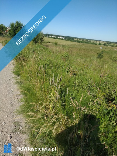 sprzedam   działkę z  bajorkiem  i   na działce rurociąg  wodny - Jesionowo  -
warmińsko-mazurskie Zdjęcie nr 5