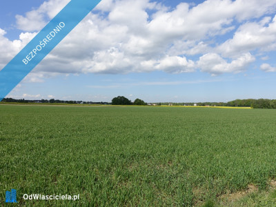 Skoczów Pruchna 115ha pod zabudowe stadnine lux lokalizacja - Skoczów  -
śląskie Zdjęcie nr 3