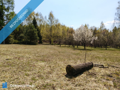 piekna dzialka dla odpowiediego klijenta - Łódź  -
łódzkie Zdjęcie nr 2