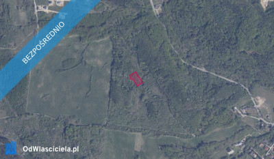 Działka 42620 w Pręgowie Górnym - Pręgowo  -
pomorskie Zdjęcie nr 2