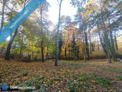 Łomianki Dąbrowa Leśna działka 1500m2 - Łomianki  -
mazowieckie Zdjęcie nr 5