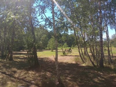 Duża działka w otulinie Kampinosu Dąbrowa  gm Łomianki - Łomianki Dolne  -
mazowieckie Zdjęcie nr 9