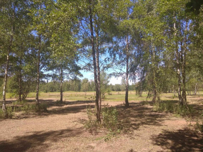 Duża działka w otulinie Kampinosu Dąbrowa  gm Łomianki - Łomianki Dolne  -
mazowieckie Zdjęcie nr 7