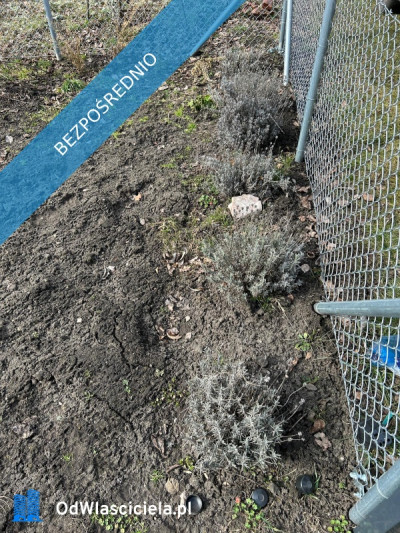 Sprzedam Działkę ROD we Wrocławiu na Kuźnikach - Fabryczna  - dolnośląskie