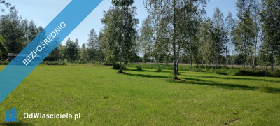 MAZURY Działka nad jeziorem Roś z dostępem do linii brzegowej i pomostu -  Szczechy Małe - Szczechy Małe  -
warmińsko-mazurskie Zdjęcie nr 2