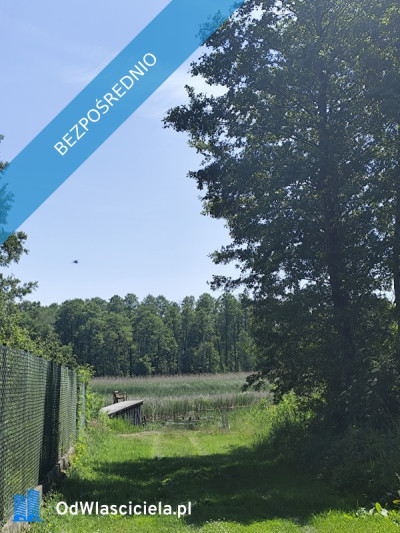 MAZURY Działka nad jeziorem Roś z dostępem do linii brzegowej i pomostu -  Szczechy Małe - Szczechy Małe  -
warmińsko-mazurskie Zdjęcie nr 7