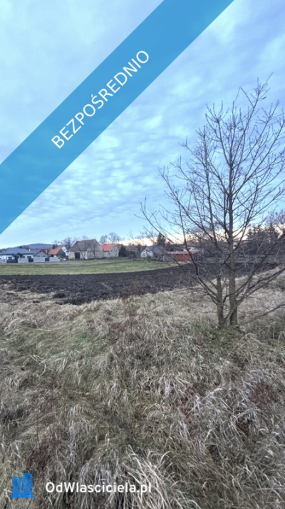 Działka z widokiem na Ślężę blisko S8 - Oleszna  -
dolnośląskie Zdjęcie nr 2
